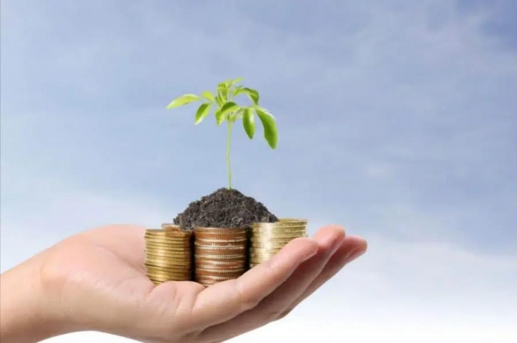 Dicas de como ter um comércio mais sustentável
